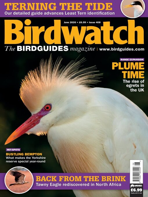 Cover image for Birdwatch